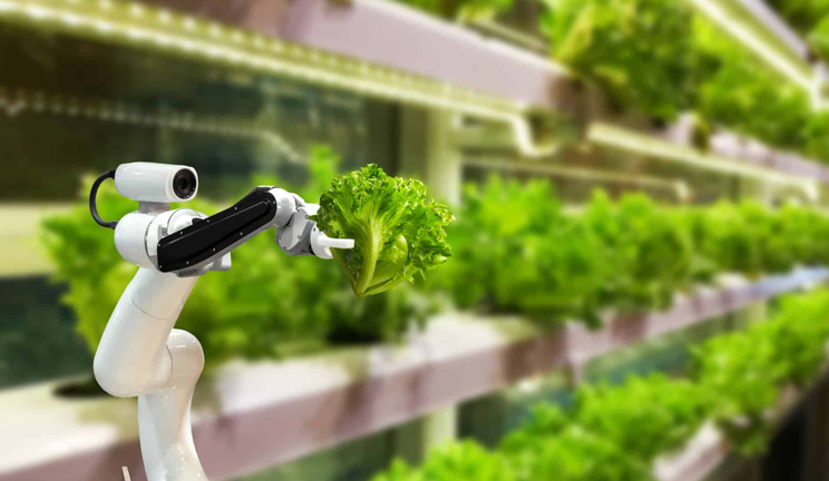 Smart crop production